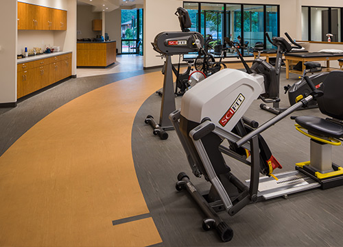 exercise equipment at physical therapy facilities